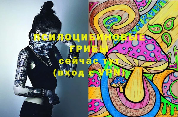 прущие грибы Новодвинск
