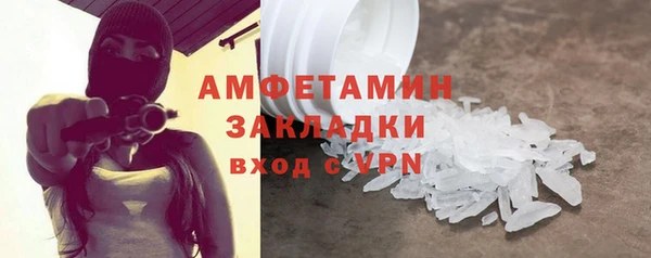 прущие грибы Новодвинск