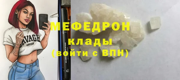прущие грибы Новодвинск