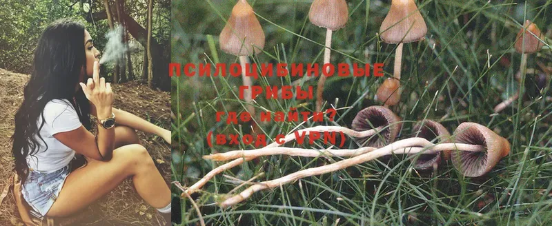 Псилоцибиновые грибы Magic Shrooms  Партизанск 