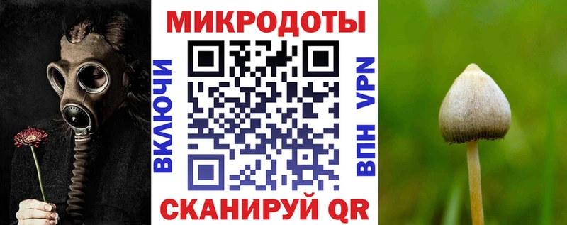 blacksprut онион  Партизанск  Псилоцибиновые грибы Magic Shrooms  закладки 