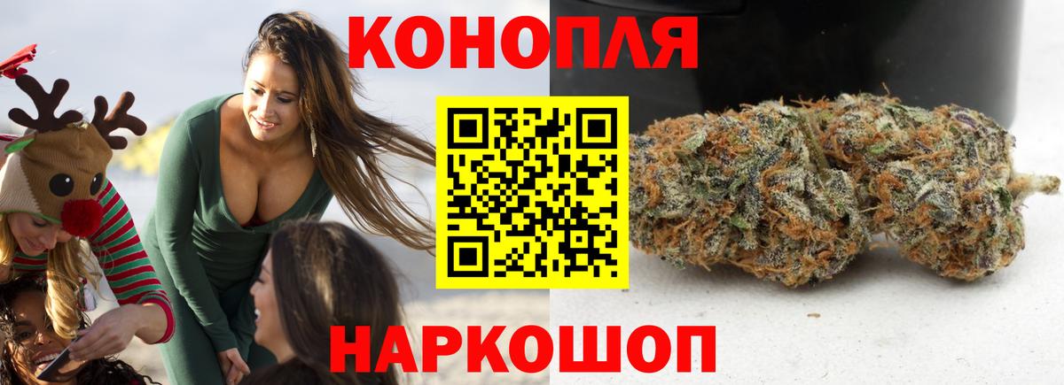 Бошки Шишки  Партизанск  Вход с VPN  Molly  Бошки Шишки  МЕФ  Плюхи 